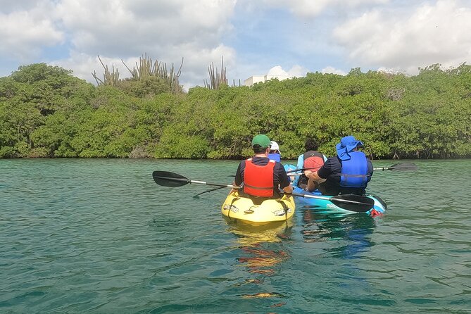 Kayak Tour at Mangel Halto and Spanish Lagoon - Kayaking Mangel Halto: The Practical Way to See Aruba’s Coast