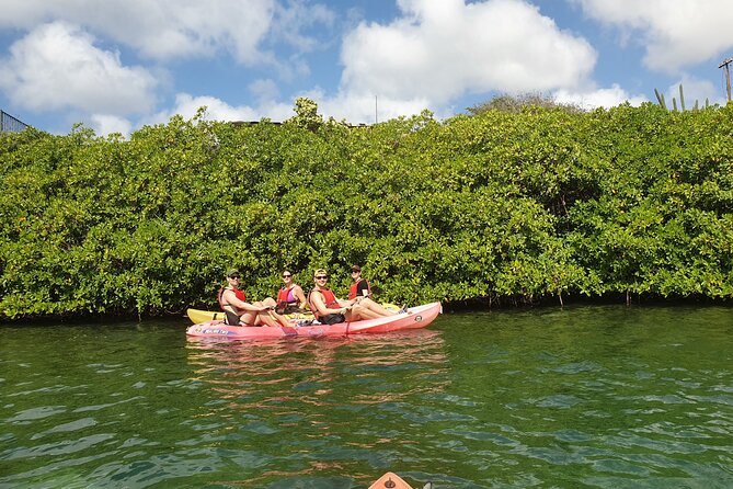 Kayak Tour at Mangel Halto and Spanish Lagoon - Price and What $95 Buys You (And What It Doesn’t)