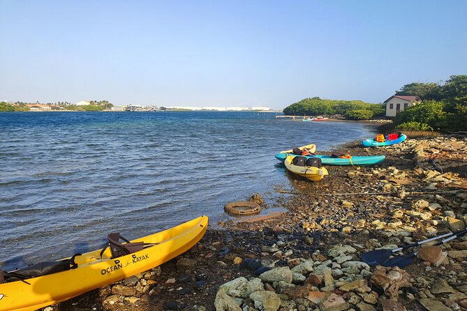Kayak Tour to Seaglass Island - The kayak paddle along Savaneta: views plus an easy rhythm