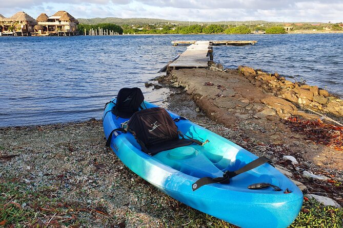 Kayak Tour to Seaglass Island - What you’ll learn: reef life, ocean stories, and how glass ends up here