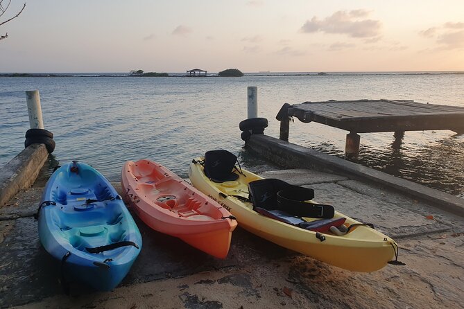 Kayak Tour to Seaglass Island - Comfort, safety, and the small things that make or break it