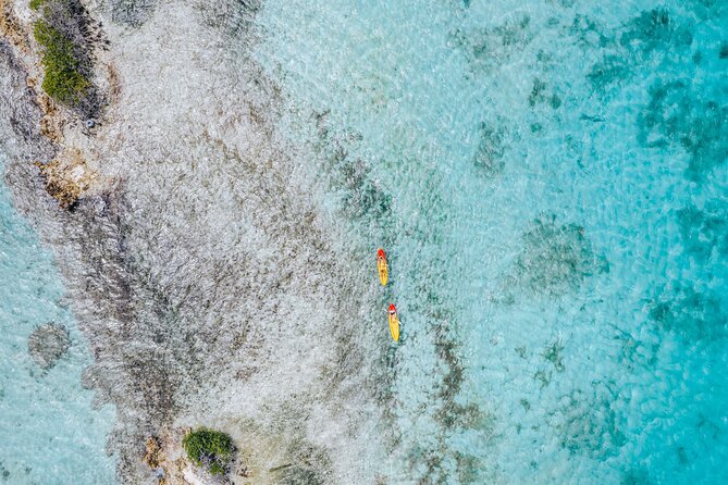 Luxury Lagoon Cruise with Onboard Chef and Signature Cocktails - Drinks and cocktails: open bar that doesn’t feel watered down