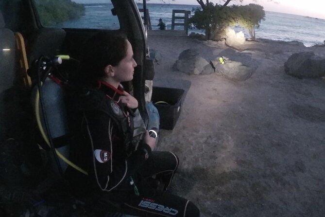 Night Shore Diving Mangel Halto Aruba for Certified Divers - Quick, useful takeaways