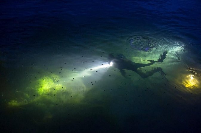 Night Shore Diving Mangel Halto Aruba for Certified Divers - Group size and how it feels in practice (max 6)