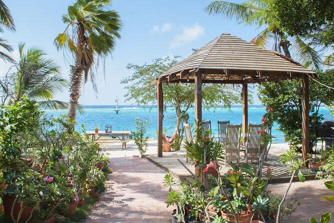 Oranjestad AUA Airport Transfer to Oranjestad/Noord/Cura Cabai - Oranjestad to Noord to Cura Cabai: what you’re really buying