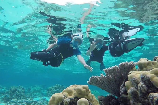 Premium Catamaran Afternoon Sail: Snorkeling and Lunch - Sailing comfort: calm water, ladders, and how to manage first-timer nerves