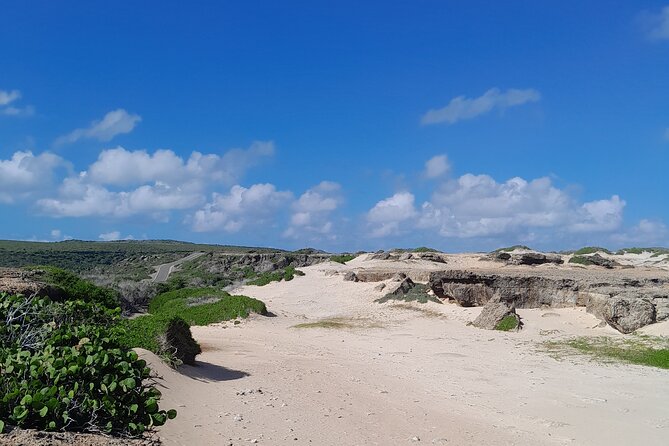 Private 4x4 Natural Pool, Caves & Baby Beach by Cross Aruba Tours - Stop 2: Conchi Natural Pool for swimming (about 30 minutes)