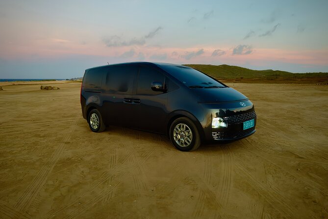 Private Airport Transfer Round-Trip Aruba - The Meet-and-Greet System: Airport Wi-Fi + Quick Text