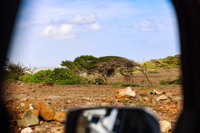Private and Customized Aruba 4X4 Jeep Adventure - A private Aruba 4x4 that actually fits your day
