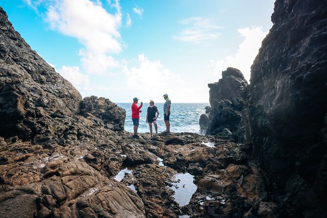 Private and Customized Aruba 4X4 Jeep Adventure - Price and value: $500 per group for up to 4