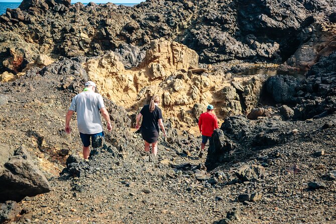 Private and Customized Aruba 4X4 Jeep Adventure - Who should book this Aruba 4x4 jeep adventure