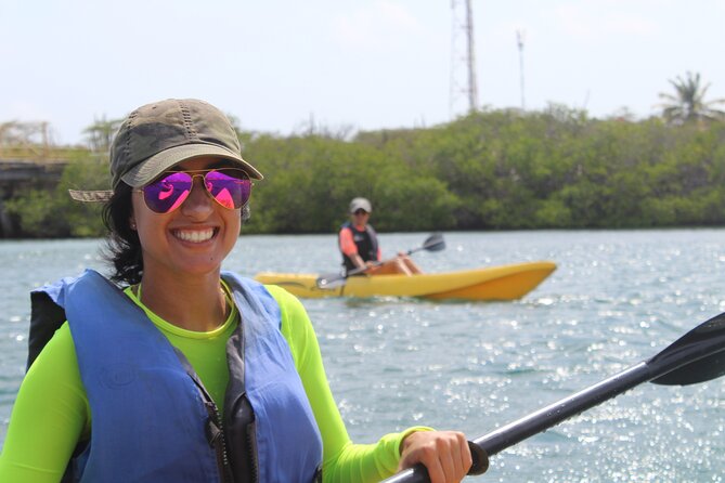 Private Aruba Kayak & Snorkeling Tour + Transortation - Kayak time on Aruba’s south coast: what you’re really buying
