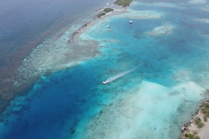 Private Aruba Kayak & Snorkeling Tour + Transortation - Who should book this kayaking-and-snorkeling tour
