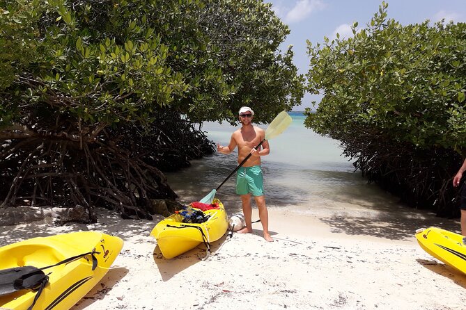 Private Aruba Kayak & Snorkeling Tour + Transortation - Getting to the water: Oranjestad pickup and a smooth start