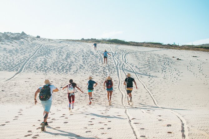 Private Aruba National Park Hiking & Natural Pool Swimming - 6 key reasons people love this Aruba Natural Pool hike