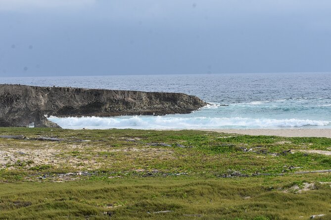 Private Aruba National Park Hiking & Natural Pool Swimming - Conchi Natural Pool: 1 hour to swim, snorkel, and actually look
