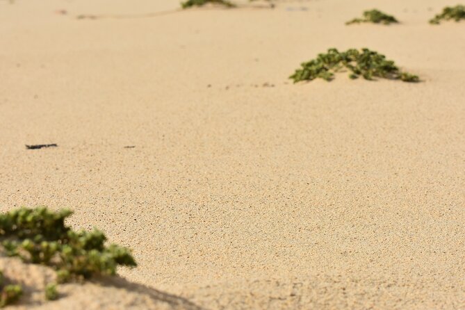 Private Aruba National Park Hiking & Natural Pool Swimming - What’s included (and what you’ll need to bring)