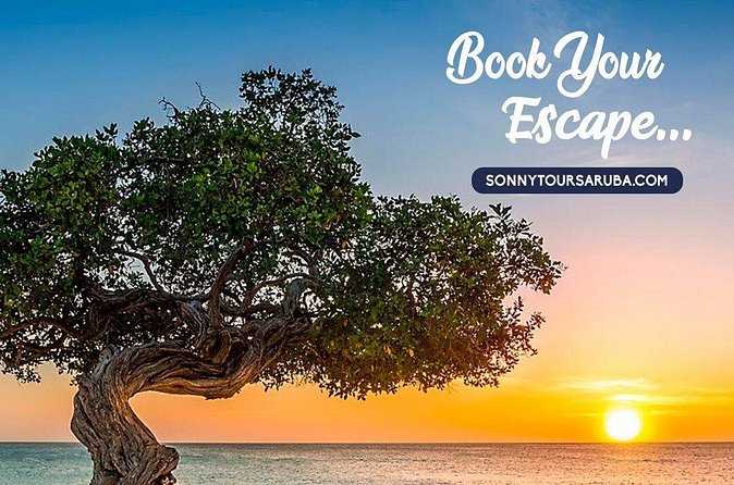 Private Aruba roundtrip airport transfer - Luggage Rules, Kids on Laps, and Oversized Gear