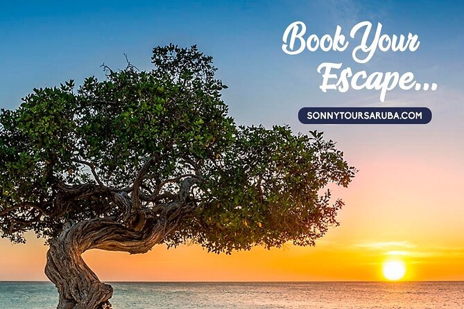 Private Aruba roundtrip airport transfer - The Door-to-Door Ride to Your Resort (Plus the Little Comfort Wins)