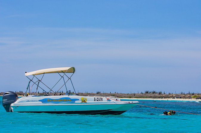 Private Boat Cruise with Snorkeling - Who this private snorkeling cruise is best for