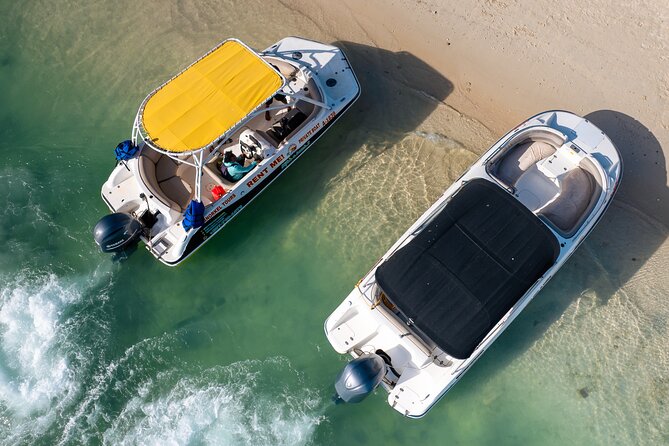 Private Boat & Snorkeling Adventure on Aruba’s Crystal Coast - Key Highlights to Know Before You Go