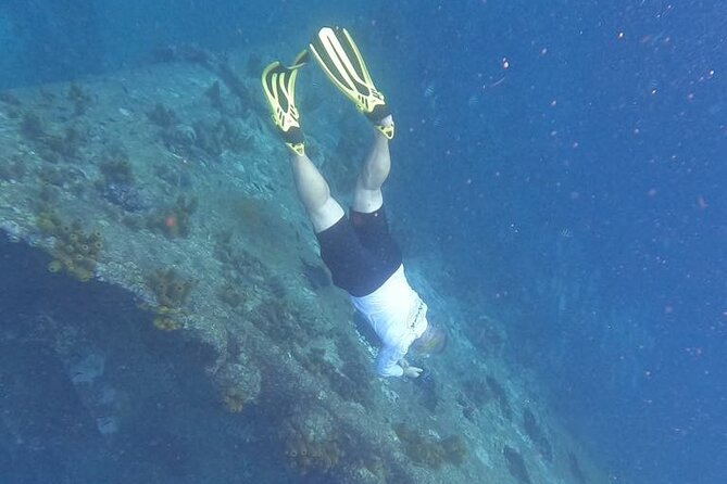 Private Boat Tour in Aruba - Antilla shipwreck: the big visual anchor of the day