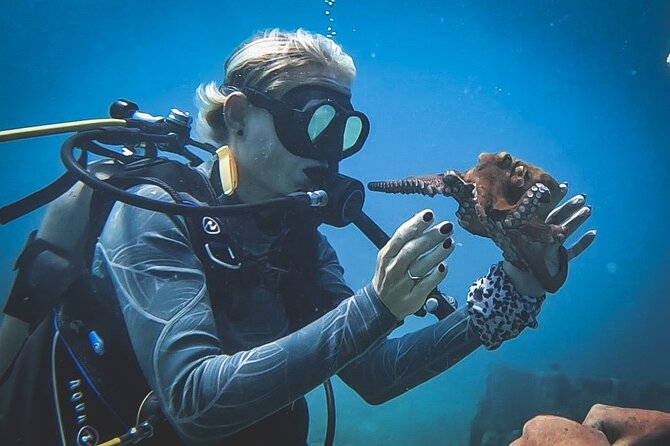 Private Dive + videographer/Photographer (Certified divers only) - Mangal Hato to Spaans Lagoenweg: How the Start Sets the Tone