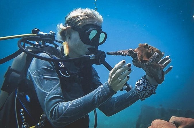 Private Dive + videographer/Photographer (Certified divers only) - Picking the Underwater Spots: Choice, Flexibility, and Better Photos