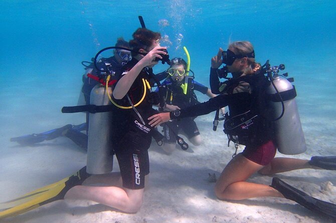 Private First-Time Dive on Aruba’s Reef and Wreck Site - Key things I’d bet on before booking