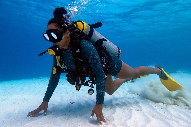 Private First-Time Dive on Aruba’s Reef and Wreck Site - Going up to 40 feet: what changes once you’re ready