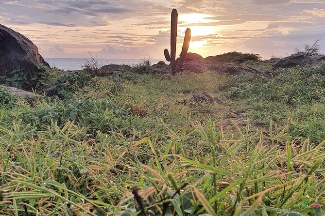 Private Guided Beach Meditation & Hike + Transfer - Walking Firemen’s Trail: the hike that feels like a nature lesson