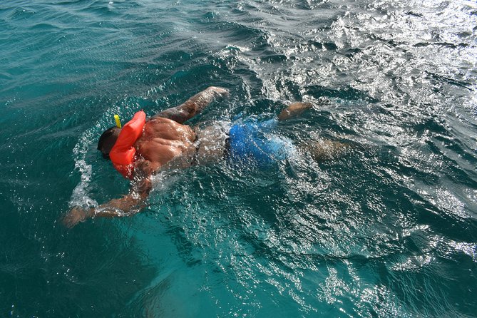 Private Half Day Charter - Snorkeling gear is included—here’s how to use it smart