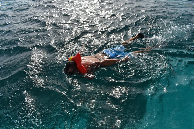 Private Half Day Charter - Open bar plus deck play: waterslide and rope swing