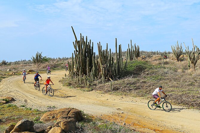 Private Mountain Bike Tour in Aruba - Aruba mountain biking at a glance: what kind of ride is this?
