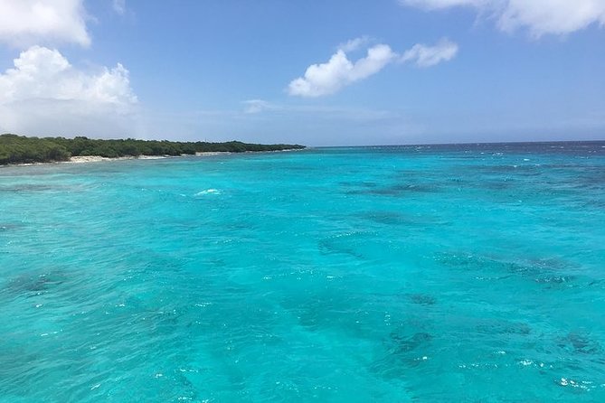 Private nature tour: Aruban mangrove forest & pristine coral reef - Price and what you get for $148.72 per person