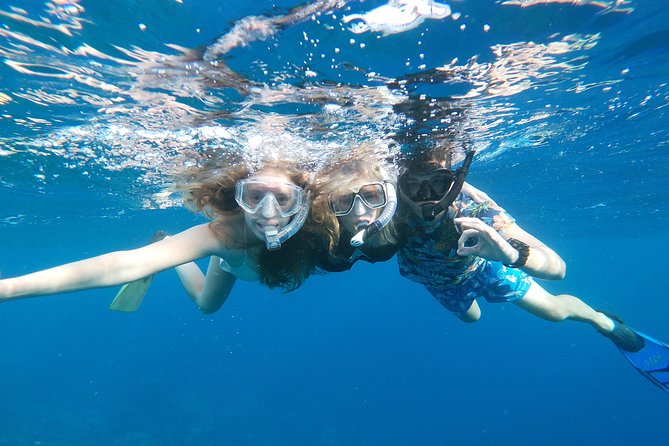 Private nature tour: Aruban mangrove forest & pristine coral reef - Timing and flow: a 5-hour plan that stays manageable