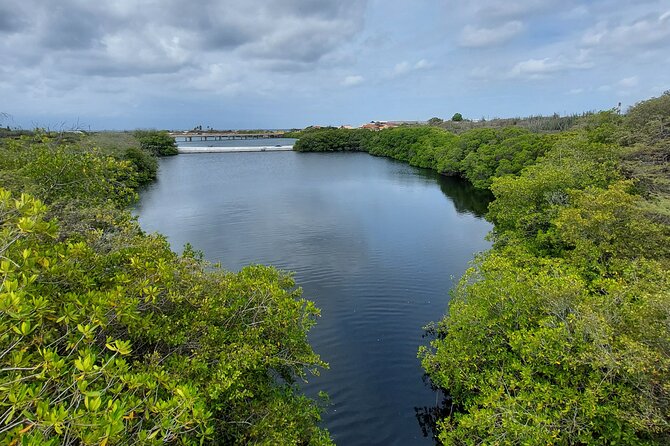 Private Road to San Nicolas Culture Heritage by E-Bike Aruba - Santo Largo and Savaneta: beach time plus a peek at local fishing life