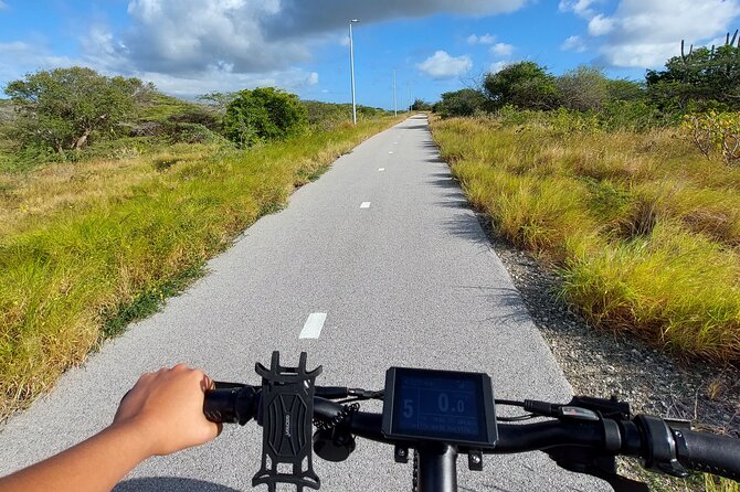 Private Road to San Nicolas Culture Heritage by E-Bike Aruba - San Nicolas Community Museum and Kulture Cafe: where the stop feels real