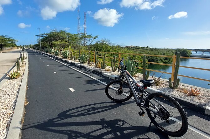 Private Road to San Nicolas Culture Heritage by E-Bike Aruba - San Nicolas city centre spotlights: Artisa, murals, and the Museum of Industry