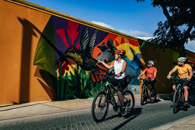 Private Road to San Nicolas Culture Heritage by E-Bike Aruba - Rolling out from Oranjestad: the Bubali Plas start and how it sets the tone