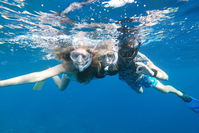 Private snorkel with 2 stops in Aruba - Eco-friendly! - Equipment and comfort: included gear that actually matters