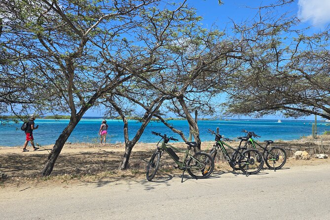Private Spanish Lagoon EcoHeritage E-Bike Tour - Key highlights worth choosing this tour for