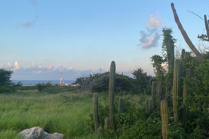 Private Spanish Lagoon EcoHeritage E-Bike Tour - Donkey Sanctuary: choose your moment