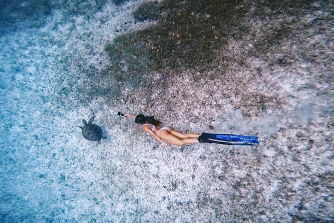 Private Turtle Spotting Snorkeling Excursion in Aruba - Certified guides who focus on turtle comfort, not crowding
