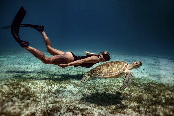 Private Turtle Spotting Snorkeling Excursion in Aruba - The pro video: why it’s worth thinking about up front