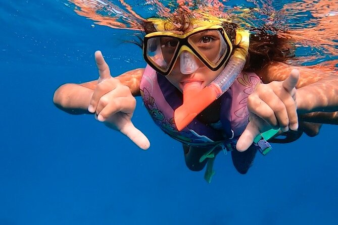 Private Turtle Spotting Snorkeling Excursion in Aruba - Should you book this turtle spotting snorkeling tour?
