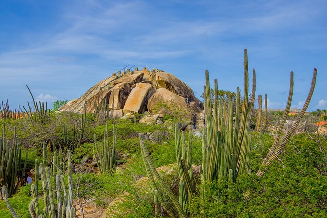 Scenic Aruba Self-Guided Driving and Walking Audio Tour - Who should book this self-guided Aruba audio tour?