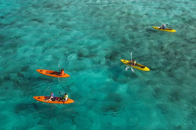 Sea Glass Island and Clear Kayak Adventure - Key points before you go