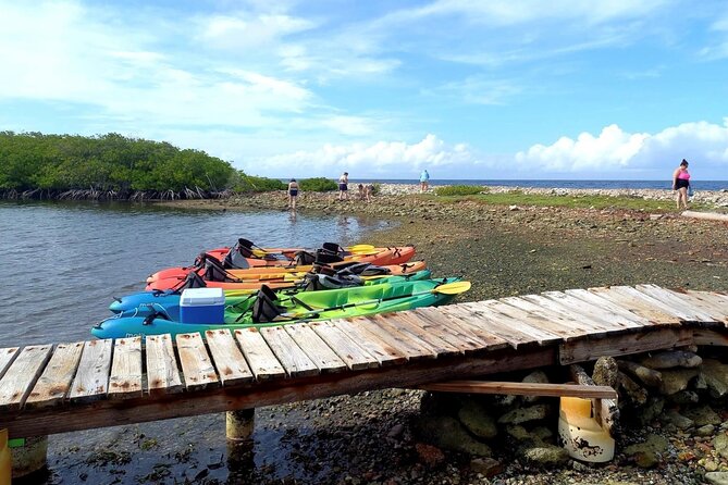 Sea Glass Island Aruba Tour - What to bring and how to prepare (so the rocky shore doesn’t ruin your morning)