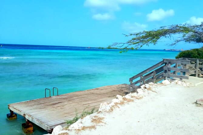 Shore Dive Aruba for Certified Divers - Shore scuba in Aruba: why this style of trip is worth your time